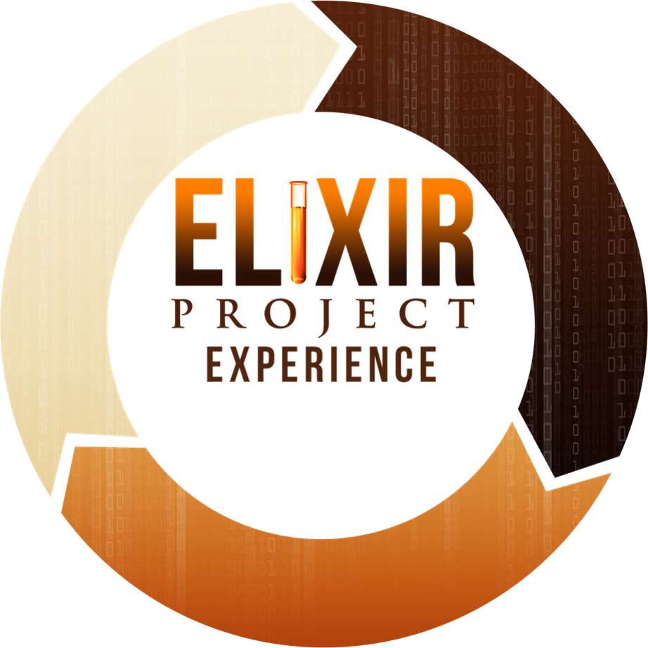 Member Home Mini Course — Elixir Project Experience